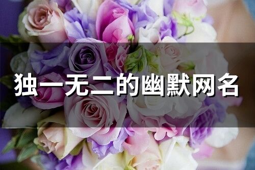 独一无二的幽默网名(76个)