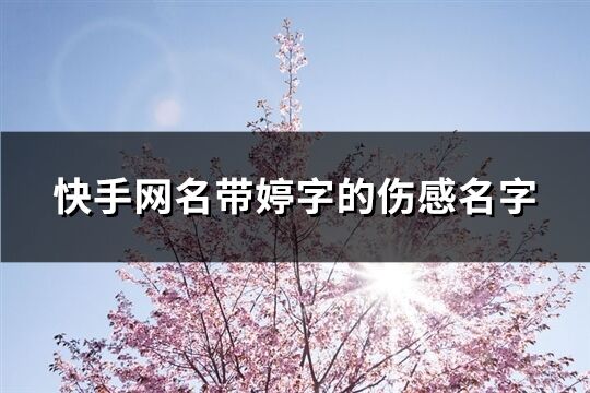 快手网名带婷字的伤感名字(精选66个)