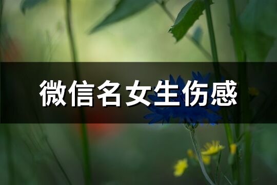 微信名女生伤感(共376个)