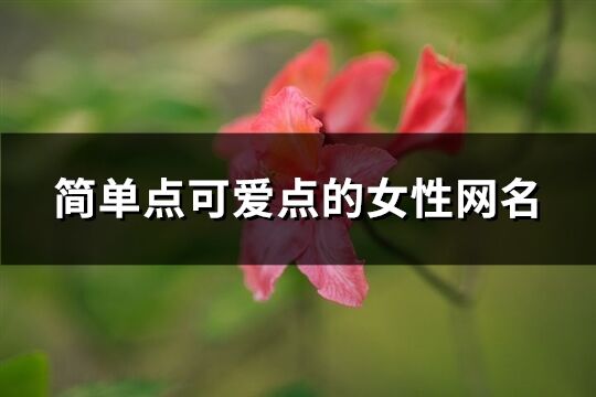 简单点可爱点的女性网名(260个)