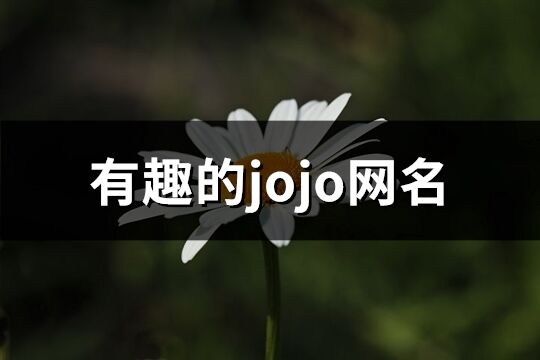 有趣的jojo网名