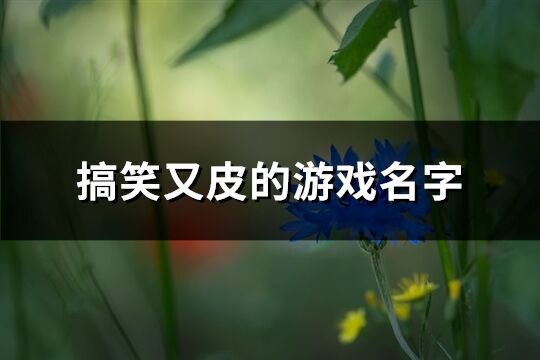 搞笑又皮的游戏名字(共254个)