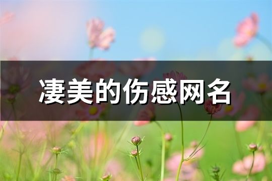 凄美的伤感网名(精选125个)