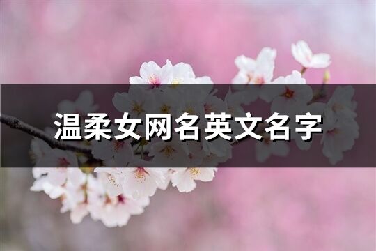 温柔女网名英文名字(精选74个)