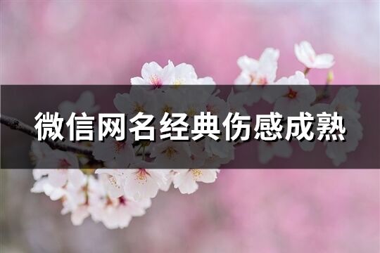 微信网名经典伤感成熟(精选342个)