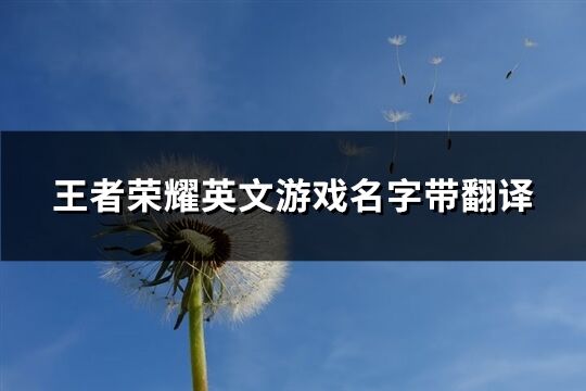 王者荣耀英文游戏名字带翻译(共144个)