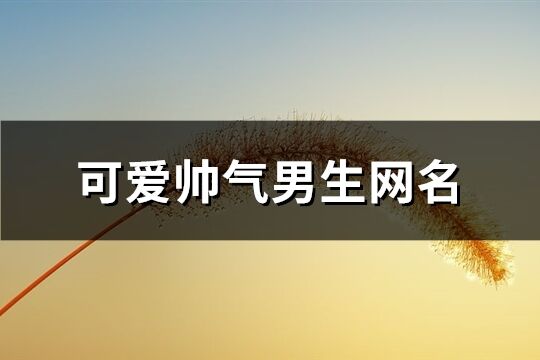 可爱帅气男生网名(精选734个)