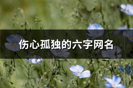 伤心孤独的六字网名(共462个)