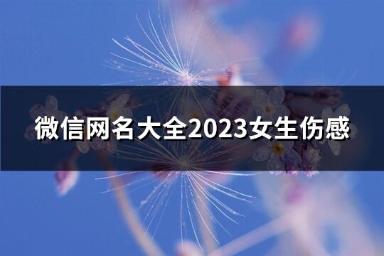 微信网名大全2023女生伤感(共273个)