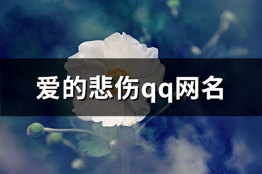 爱的悲伤qq网名(精选146个)