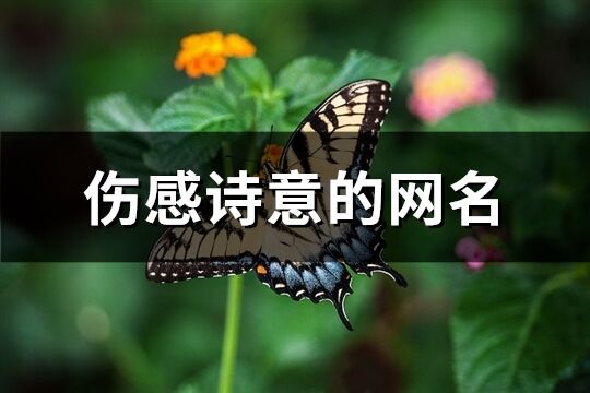 伤感诗意的网名(共261个)