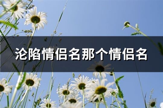 沦陷情侣名那个情侣名(精选109个)