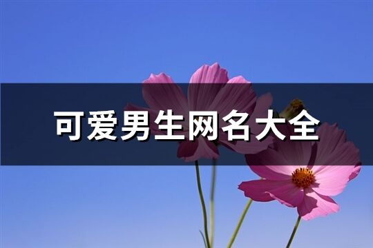 可爱男生网名大全(共443个)