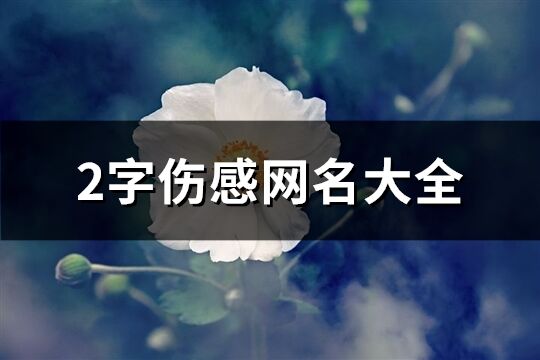 2字伤感网名大全(260个)