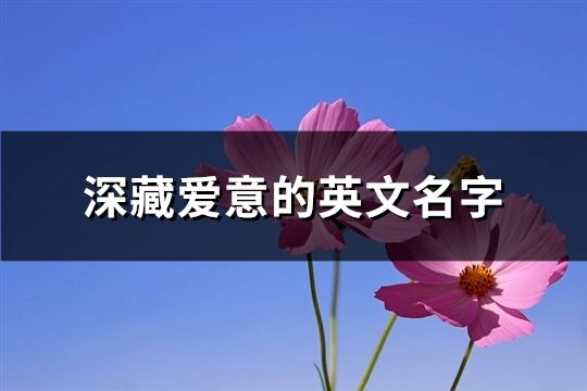 深藏爱意的英文名字(精选150个)