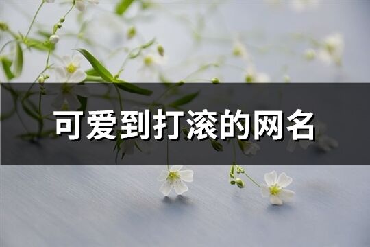 可爱到打滚的网名(精选384个)