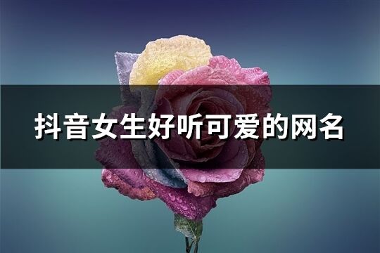 抖音女生好听可爱的网名(共425个)