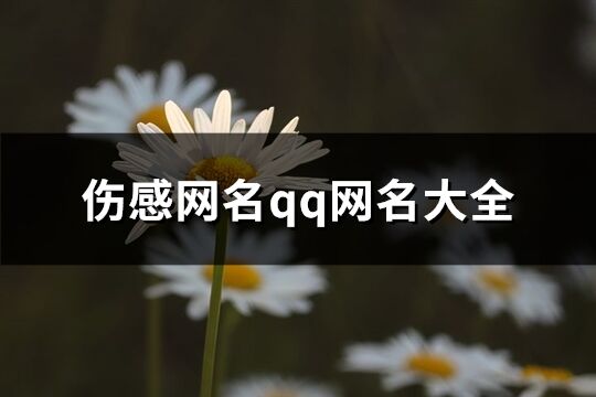 伤感网名qq网名大全(精选443个)