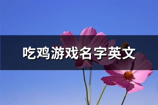 吃鸡游戏名字英文(精选123个)