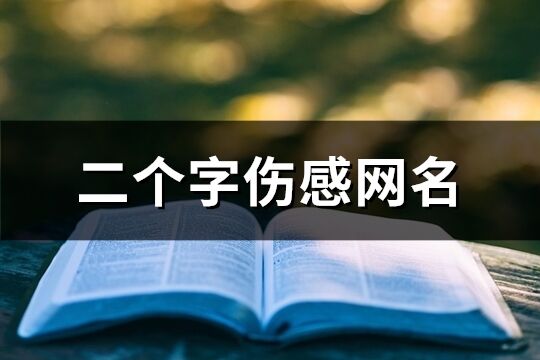 二个字伤感网名(共703个)