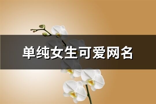 单纯女生可爱网名(共858个)