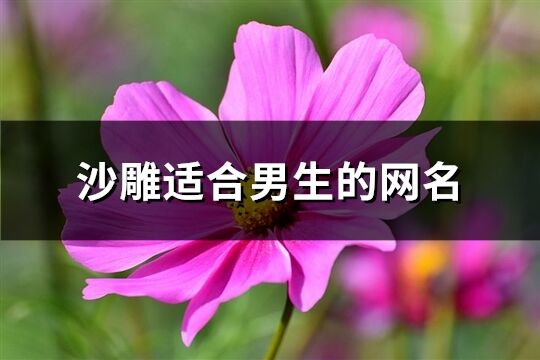 沙雕适合男生的网名(共783个)