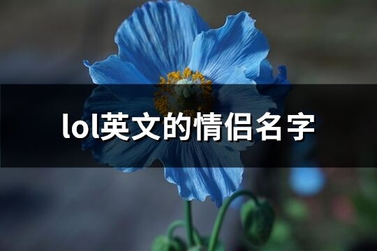 lol英文的情侣名字(共72个)