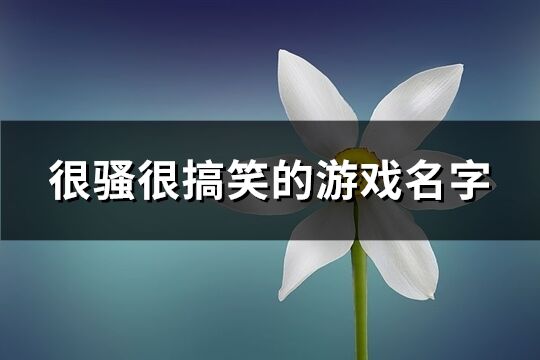 很骚很搞笑的游戏名字(共181个)