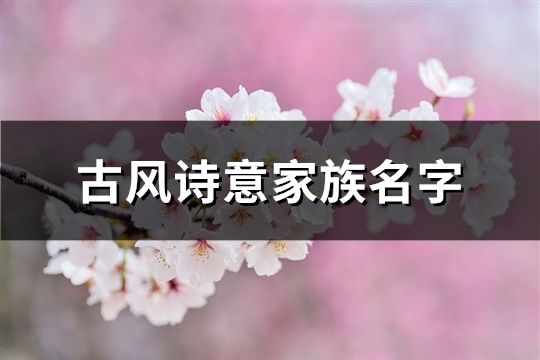 古风诗意家族名字(852个)