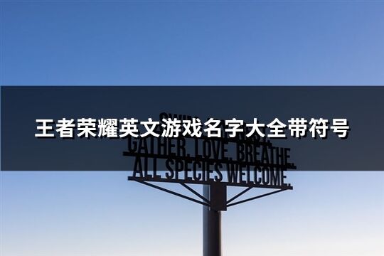 王者荣耀英文游戏名字大全带符号(共148个)