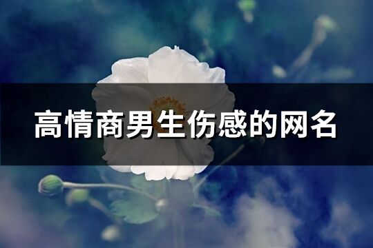 高情商男生伤感的网名(共577个)