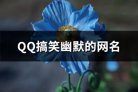 QQ搞笑幽默的网名(117个)