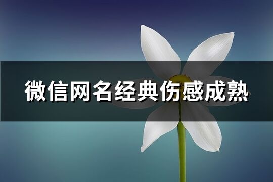 微信网名经典伤感成熟(精选126个)