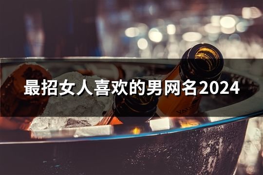 最招女人喜欢的男网名2024(共278个)