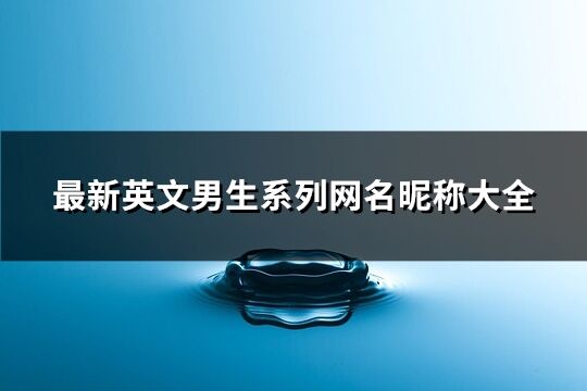 最新英文男生系列网名昵称大全(共273个)