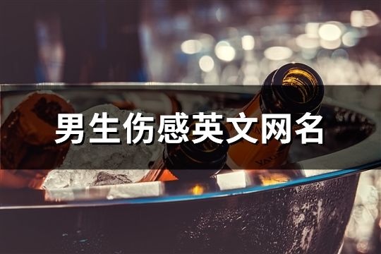 男生伤感英文网名(共142个)