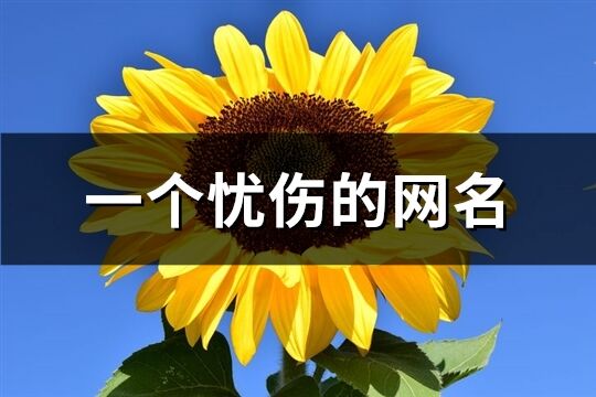 一个忧伤的网名(共809个)