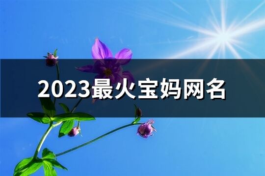 2023最火宝妈网名(429个)