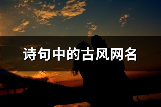 诗句中的古风网名(共173个)