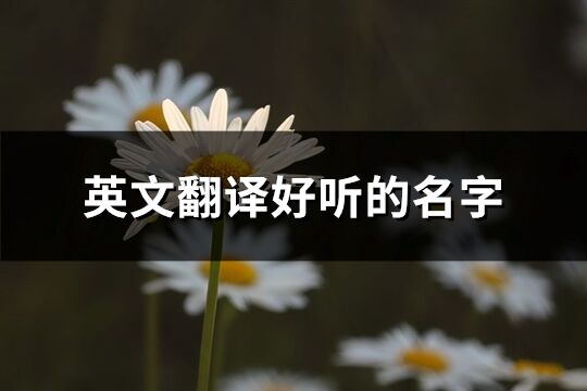 英文翻译好听的名字(精选238个)