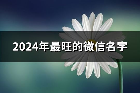 2024年最旺的微信名字(精选335个)