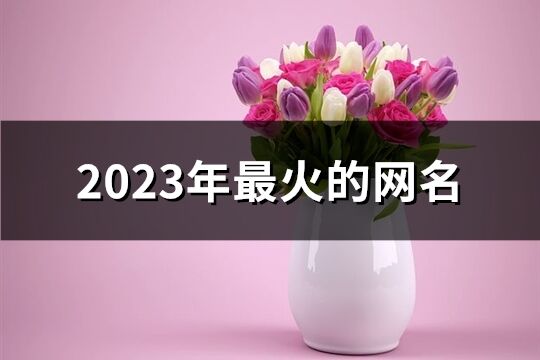 2023年最火的网名(1330个)