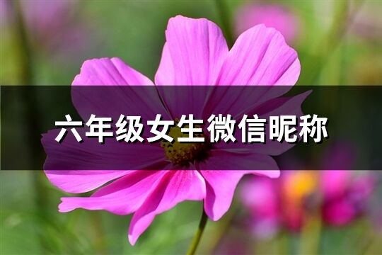 六年级女生微信昵称(共637个)