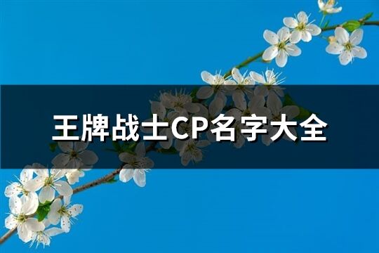 王牌战士CP名字大全(共269个)