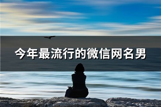 今年最流行的微信网名男(精选178个)