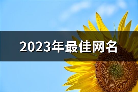 2023年最佳网名(共1304个)