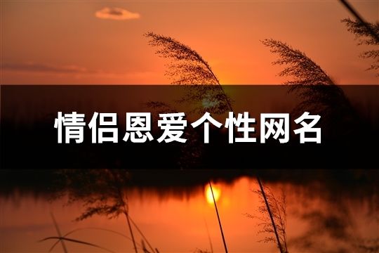 情侣恩爱个性网名(172对)