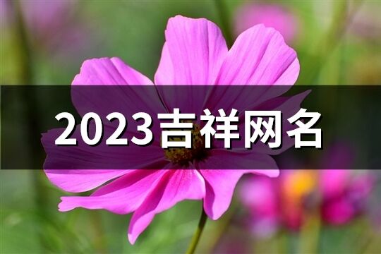 2023吉祥网名(共447个)