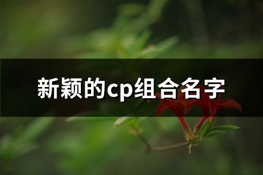 新颖的cp组合名字(共134个)