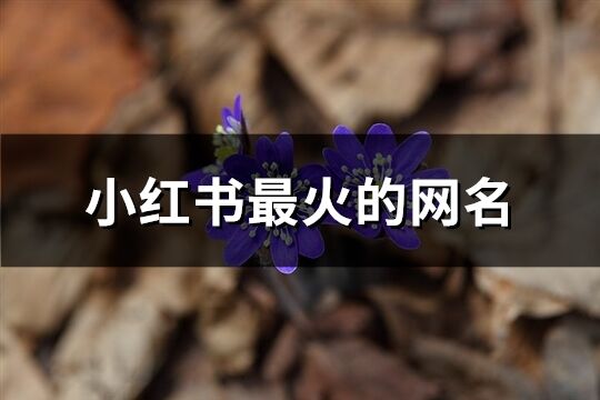 小红书最火的网名(182个)